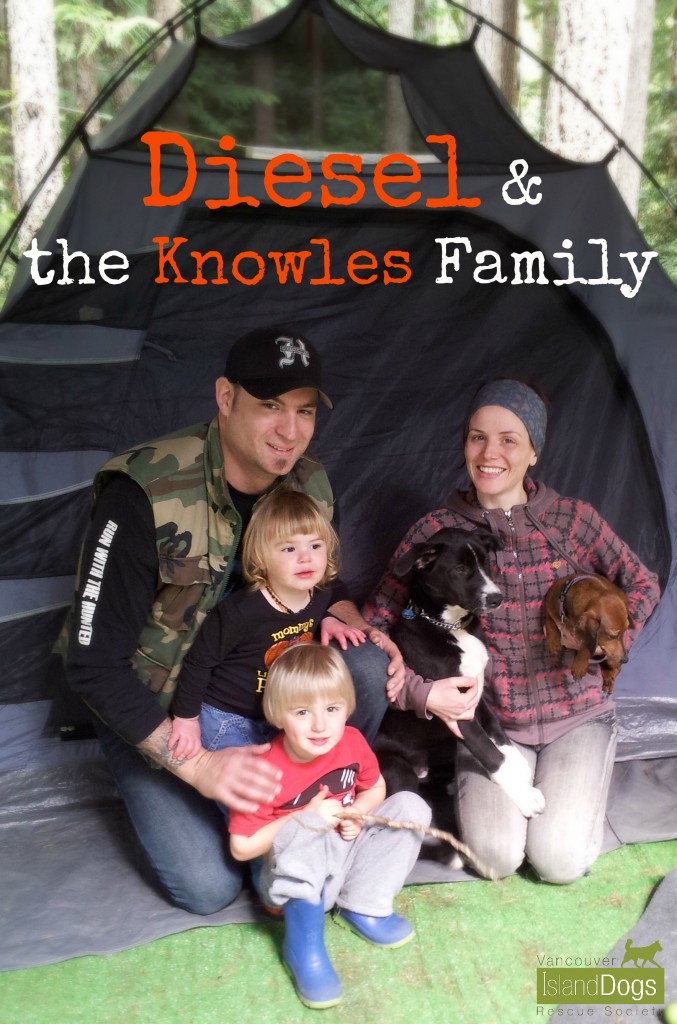 Diesel camping with his new family