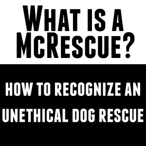 Unethical vs ethical dog rescue